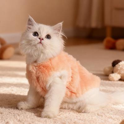 Yousheng Katzen Flauschige Weste Winter Warmes Outfit Katze Tägliches Ausgehkleidung Flauschiger Haustier Mantel Niedlicher Hundepullover für Mädchen Jungen Kätzchen Welpen Kleine Hunde