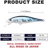 Lucky Craft Pointer 65 - US Standard Color (Beefreeze 65SP) Fishing Lure Minnow (052 Aurora Black) PT65