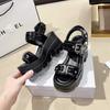Fashion 10CM Summer Hollowed-out Breathable Thin Sandals Women New All-match High-heeled Platform Sandals Punk Thick Heel Shoes Size 42