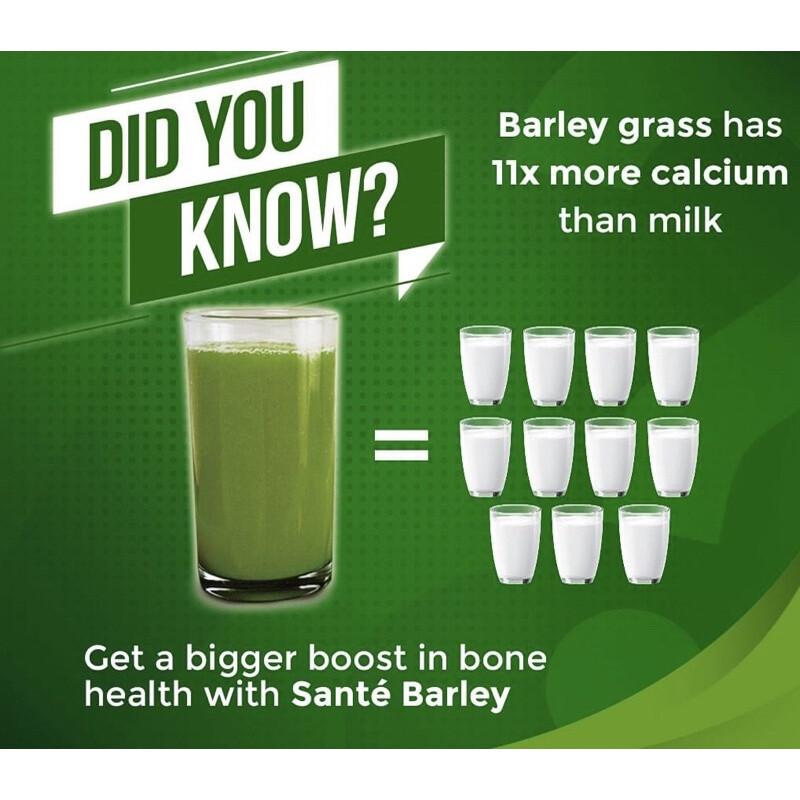 Barley Grass Powder 100% Pure Organic Organic Barley Grass Powder Pure Barley