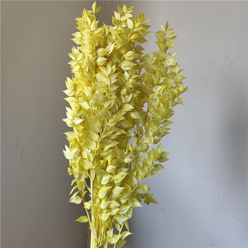 Rich Noble Leaf Dried Panda Bamboo Flowers - Photography Props for Weddings, Living Room, or Hotel Decorations
