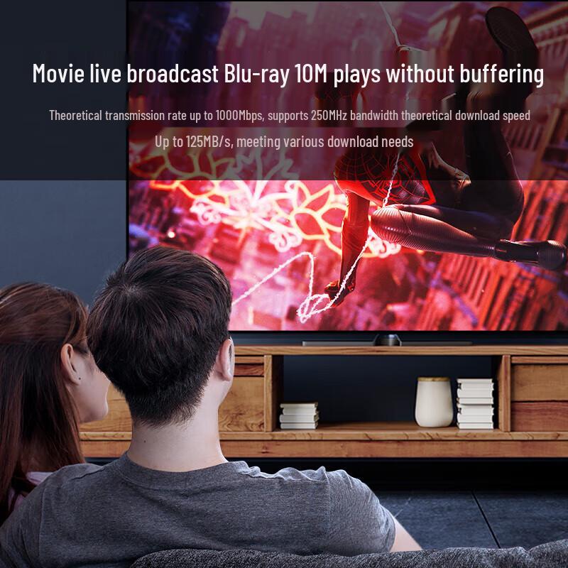 Shanze CAT6 Gigabit Ethernet Patch Cable