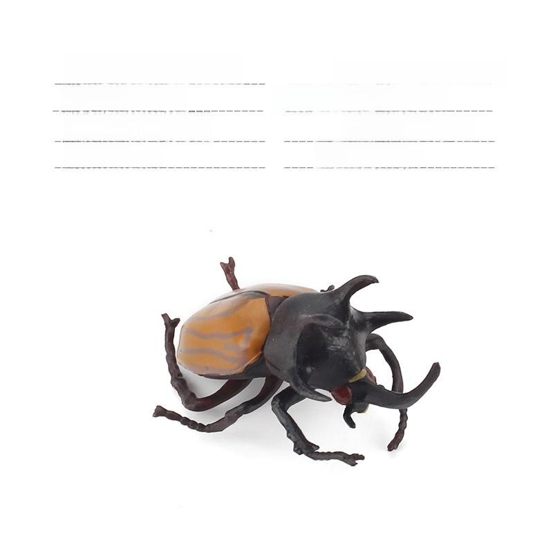 Allomyrina Dichotoma Model Pvc Realistic Display Scene For Science Education And Collectors