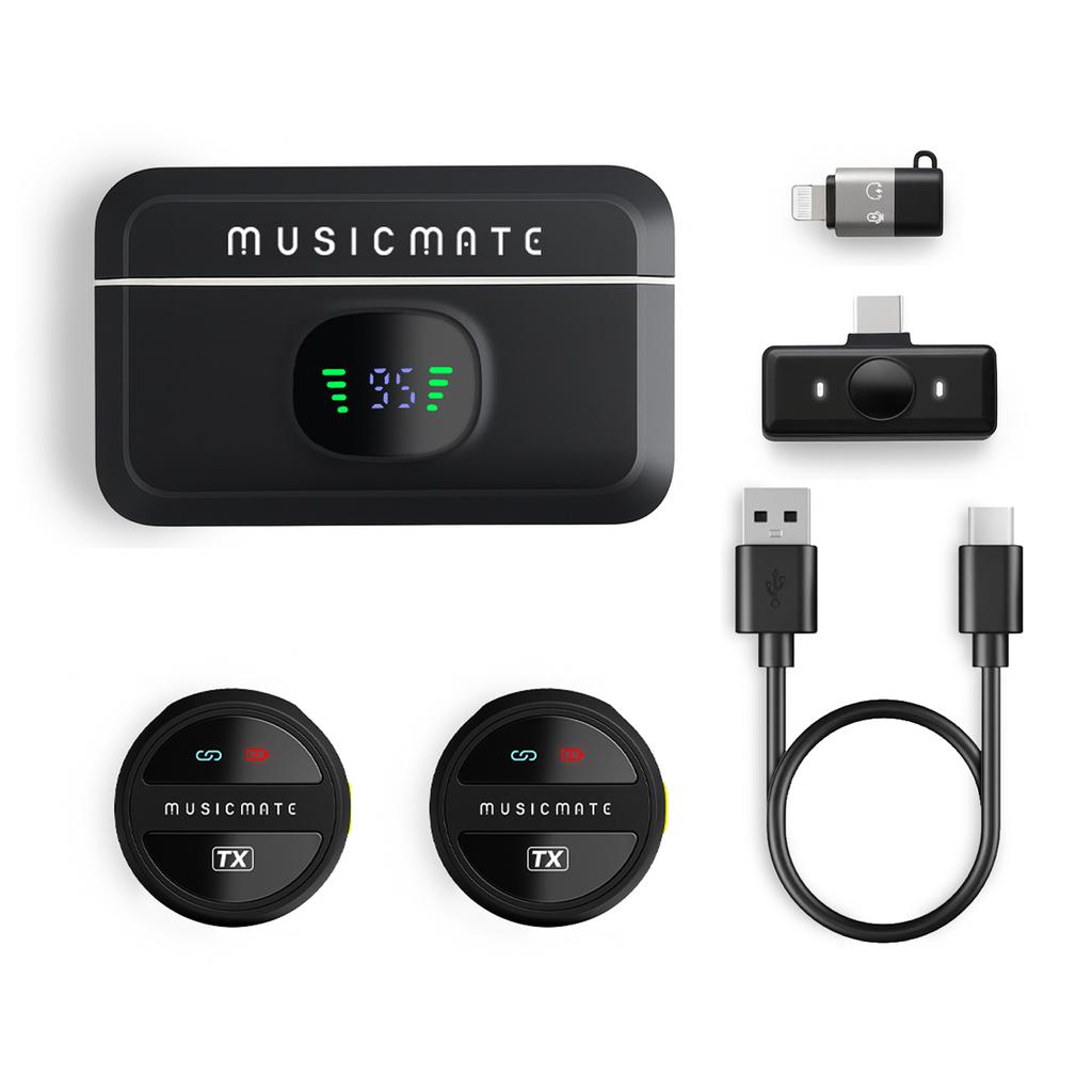 MusicMate MM-110 EchoVibe Microphone
