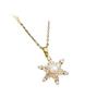 Cross-Border European & American Pearl Snowflake Titanium Steel Necklace: Women's Clavicle Chain with Niche Design