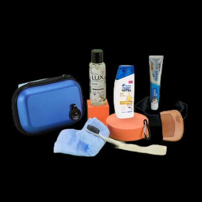 Head & Shoulders Business Travel Hygiene Kit