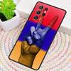 Armenia Armenians Flag Phone Case for Samsung Galaxy Note 10 Pro S26 Ultra S23 S24 FE S25 S21 S22 PLUS Shockproof Cove