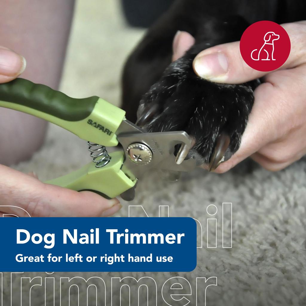 Safari Professional Stainless Steel Nail Trimmer for Dogs (Small/Medium Size)