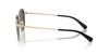Coach Sunglasses HC7163 CR631 SHINY LIGHT 52 Men's GOLD/BLACK