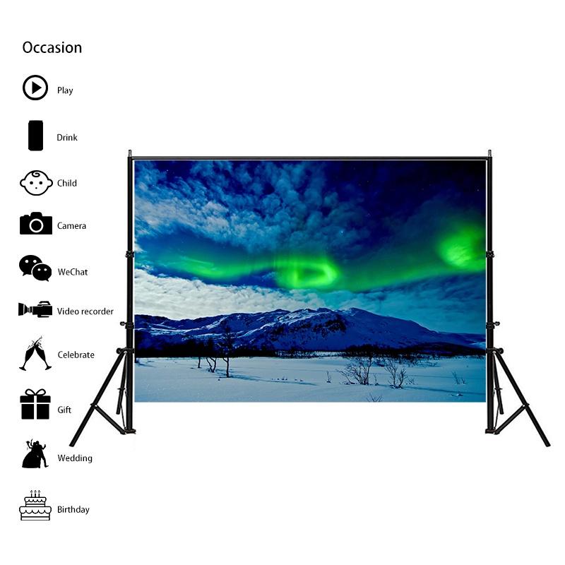 Winter Theme Snow Scene Background Nature Landscape Sky Snowflake Christmas Portrait Prop Party Decoration Banner