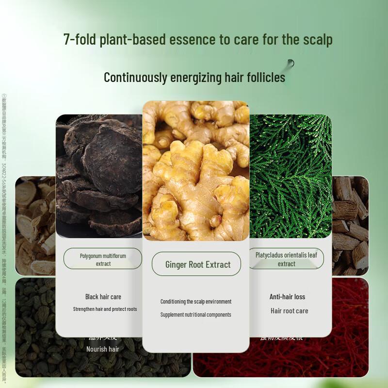 Zhuo Lan Ya Ginger Anti-Hair Loss Shampoo