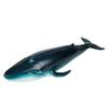 Ocean Animal Toy Lifelike Safe Blue Whale Model for Early Education Play Kids 3 Plus Soft Rubber
