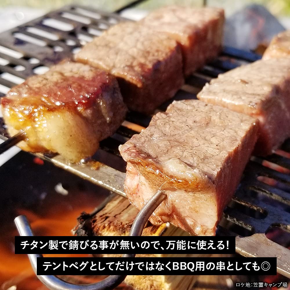 TITAN MANIA Titanium Set of Solid Forged Titanium Perfect for and Hard Tent Camping Includes Storage Bag Ultra-Lightweight Pegs, 16.5cm, 12, Pegs,