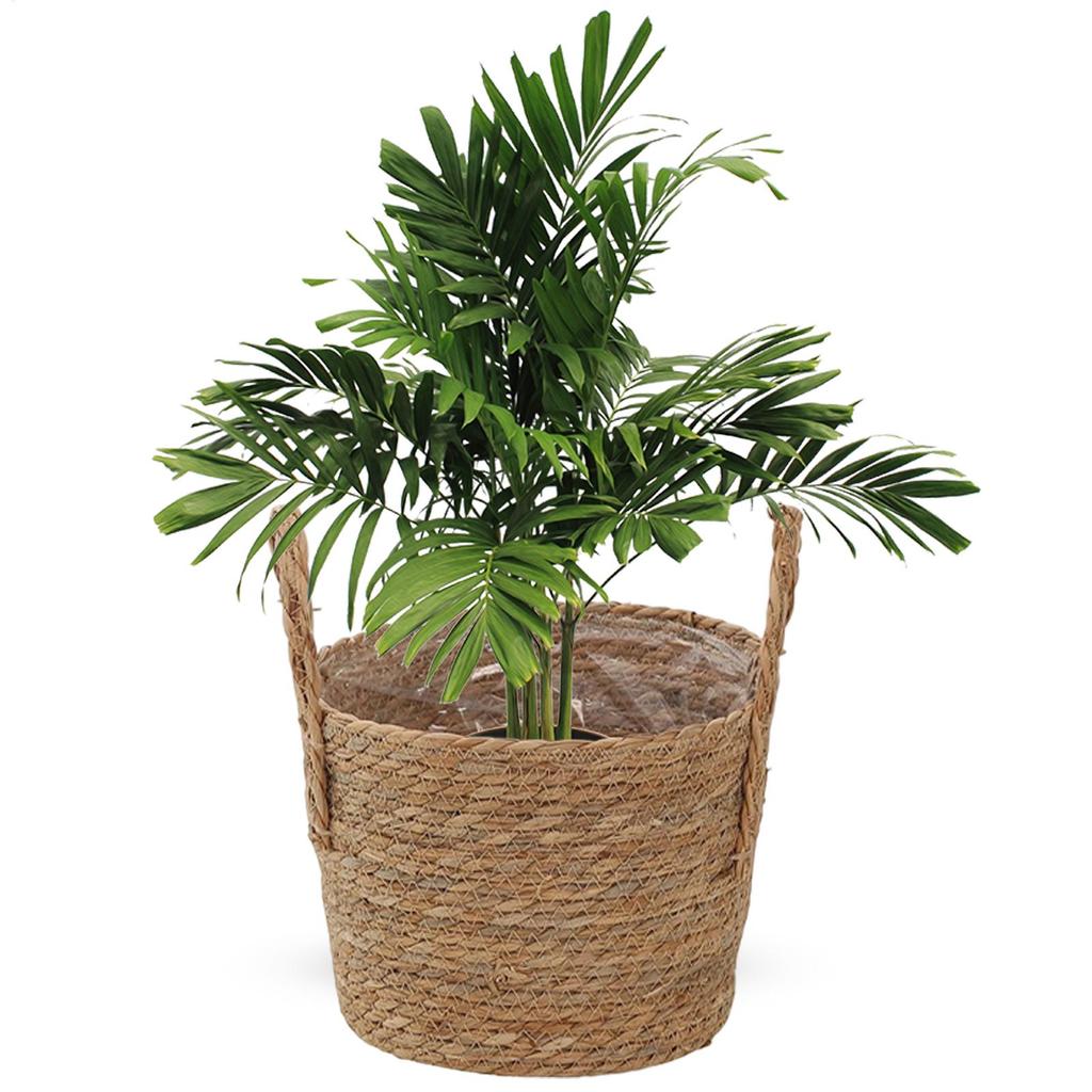 Planter Basket Straw Flowerpot  Wicker Planter Basket Flower Pot Rattan Straw Flower Basket For Home Garden  Yard Decoration