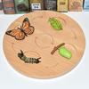 Montessori Plant & Animal Life Cycle Educational Toy Set for Early Learning