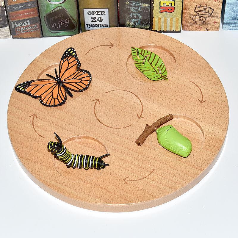 Montessori Plant & Animal Life Cycle Educational Toy Set for Early Learning