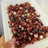 Hand-Carved High Oil Coating Red Agate Chalcedony Beads 10×11mm for DIY Jewelry
