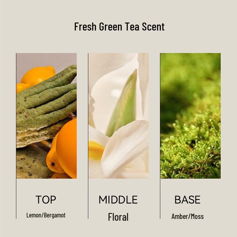 SEVEN PLUS Bodylotion mit Grüntee-Duft 400ML