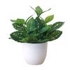 1Pcs Fresh Fresh Artificial Foliage Desktop Plant Potted Mall