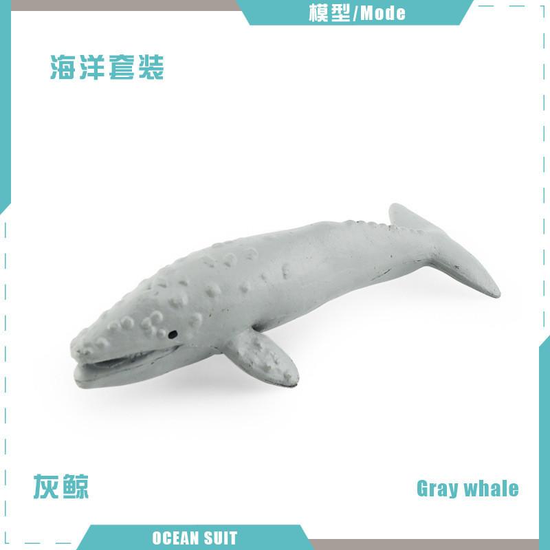 Zestaw modeli zwierząt oceanicznych premium z PVC, w tym rekiny, żółwie, delfiny, pingwiny i kraby do zabawy edukacyjnej