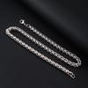 Sliver Stainless Steel Dragon Bone Chain Necklace For Men Steel Link Chain Accessory