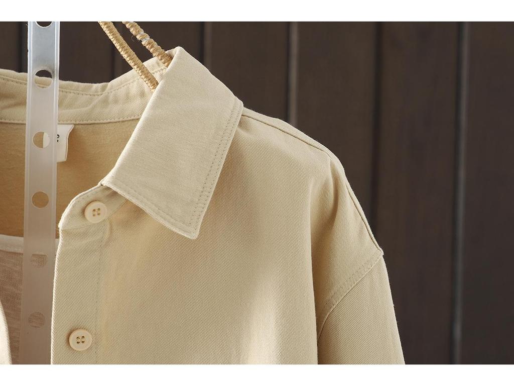 Women's Artistic Brushed Cotton Long-Sleeve Shirt, Autumn 2025 New Arrival, Loose Casual Mid-Length Top