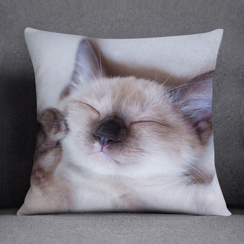 Cat Series Pattern Decorative Pillowcase, Square Home Office Decoration (45Cm * 45Cm)