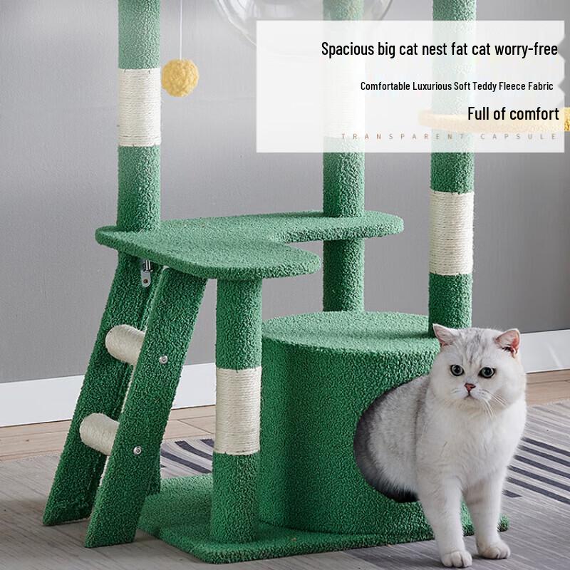 Tang Mi Ji Ji Cactus Cat Tree with Sisal Post