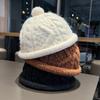 1pc Women Fashionable Beanie,Elegant Leisure Faction Portable Breathable Knitted Cap,Suitable for Vacation Travel Outdoors Wear