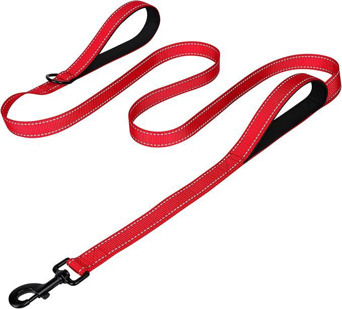 Double Layer Explosion-Proof Reflective Dog Leash - Shock-Absorbing, Thickened Pet Leash