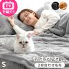 Gen of the chest of drawers Now a 2 Single Warming Cat Winter it's cat. Blanket, Pieces, +3.8℃ Sheet, Pattern, Fluffy, Warm, Washable, 80100133(99829)