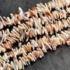 1 Strand Natural Cowrie Conch Shell Irregular Stick Beads 5×25mm 38cm Natural Red Stripe Sea Shell Loose Beads For DIY Necklace Jewelry