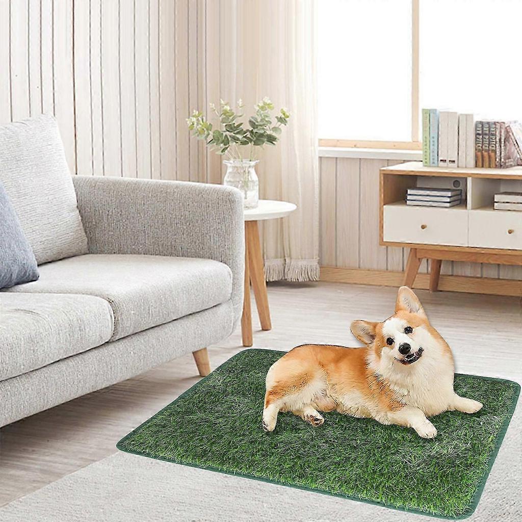 Dog Artificial Grass Carpet Meadow Indoor And Outdoor Artificial Grass Dog Toilet Training Area Courtyard Meadow Decoration