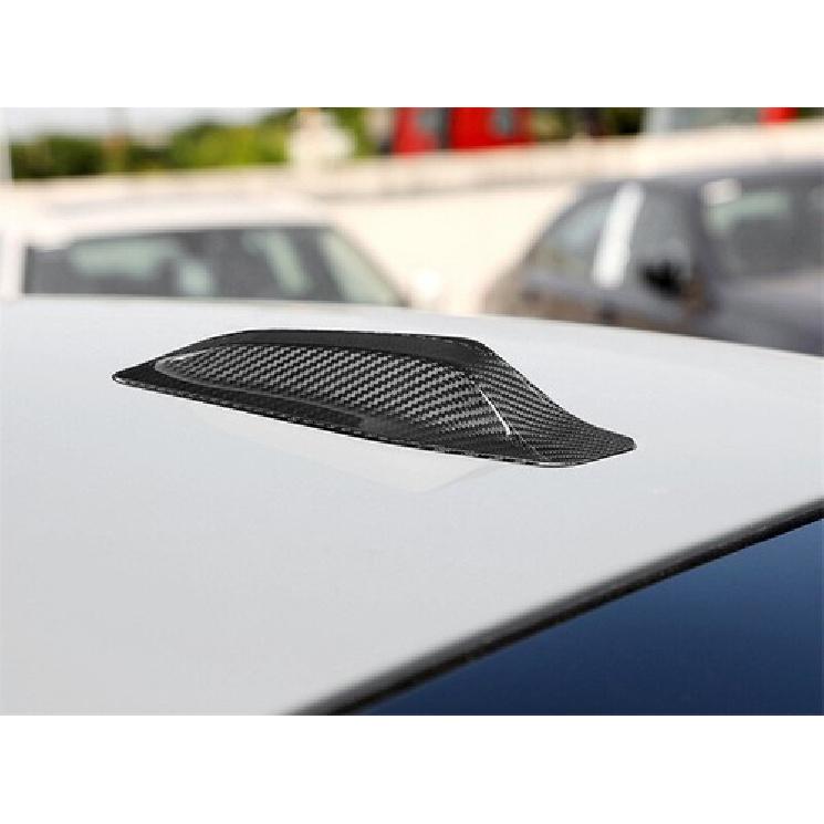 Real Carbon Fiber Car Antenna Stick Decoration For BMW X1 iX1 U11 U01 23 24