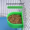Clear Green Semicircle Bird and Rabbit Feeder Bowl - Cage Accessory