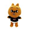 Stuffed Toy For Street Children Cartoon Plush  Plush  Doll 20Cm