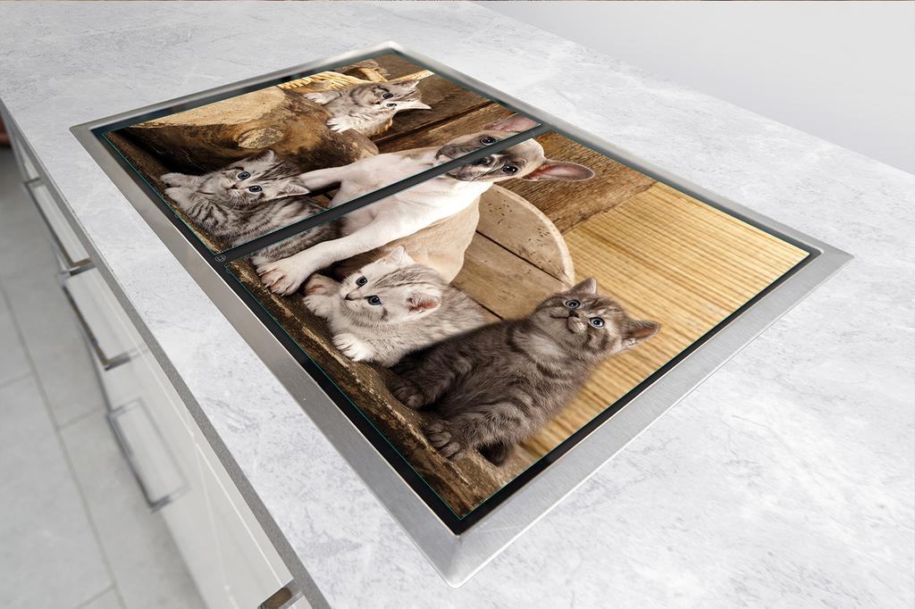 PIANO COTTURA IN VETRO e TAGLIERE 100x52 CANE