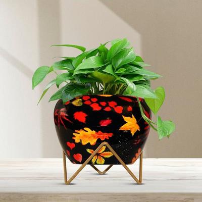 Горщики для рослин, Квіткові горщики для прикраси дому, Горщик для сукулентів, Кімнатна кашпо, Декор для балкона та саду (Тобі: 6X6 дюймів) Стиль: Осінній шепіт