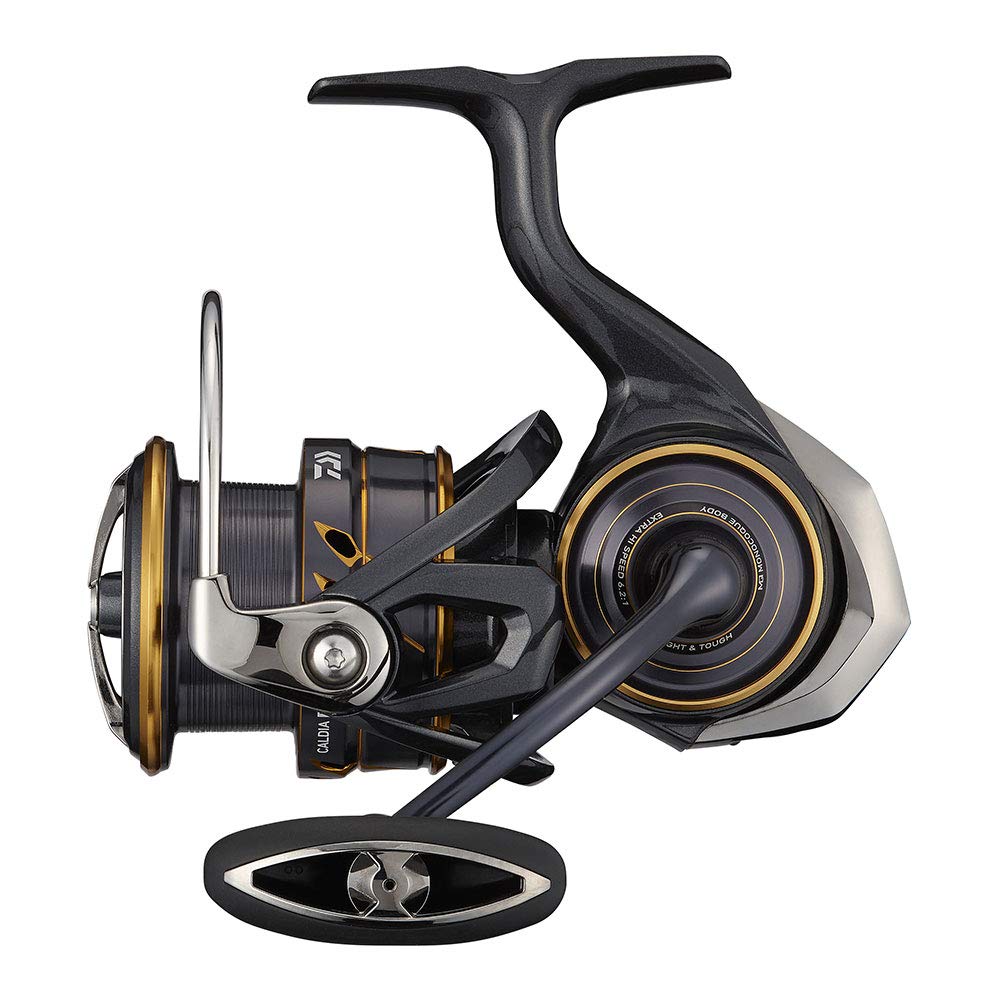 Daiwa Spinning 21 Caldia LT4000-CXH