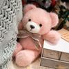 Teddy Bear Plush Toy Bear Doll Creative Versatile Scarf Bear Doll Rag Doll Birthday Gift for Girlfriend