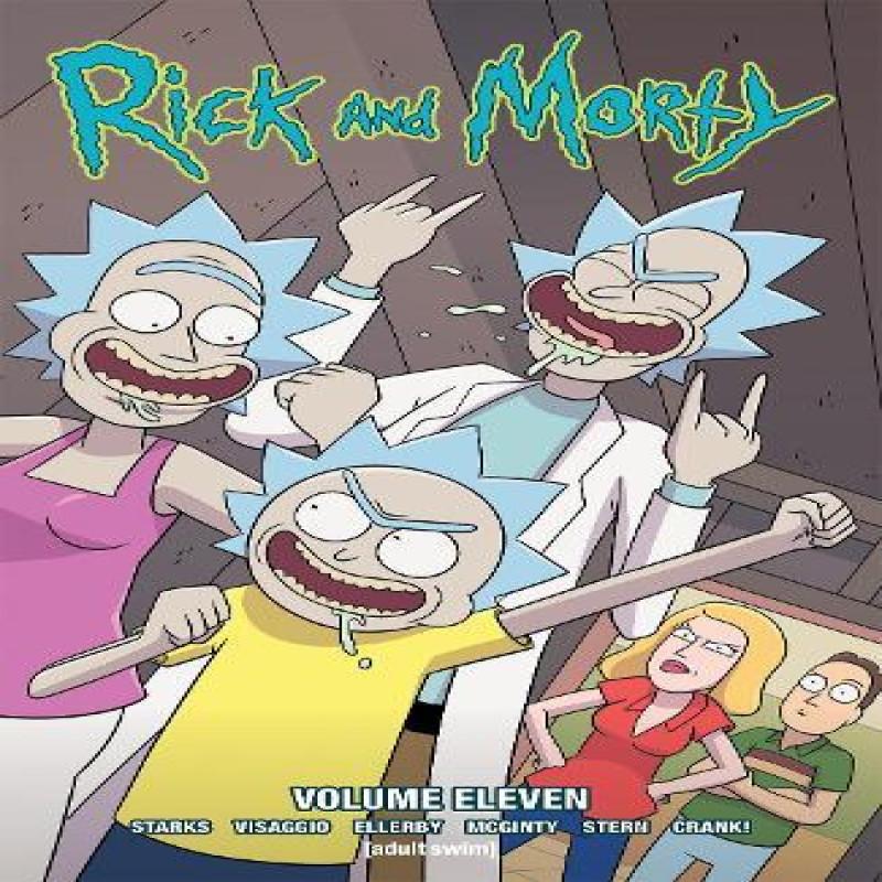 Rick and Morty Vol. 11 by Magdalene Visaggio Paperback Book 9781620107348