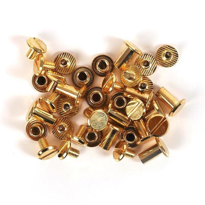 Vis chicago Attaches pour Cuir et Fimo Cuir 20 pièces