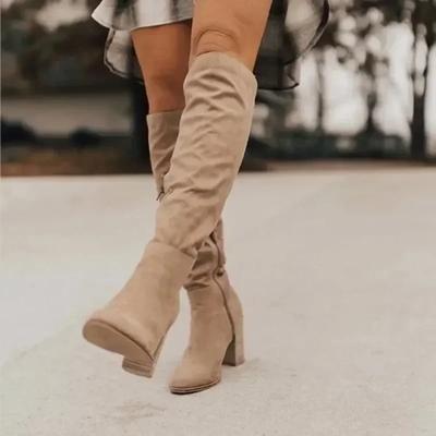 2024 Damen Kniehohe Stiefel Sexy Hohe Absätze Einfarbige Damenschuhe Winter Warm Flausch Mode Spitz Zehen Rom Frauen Stiefel