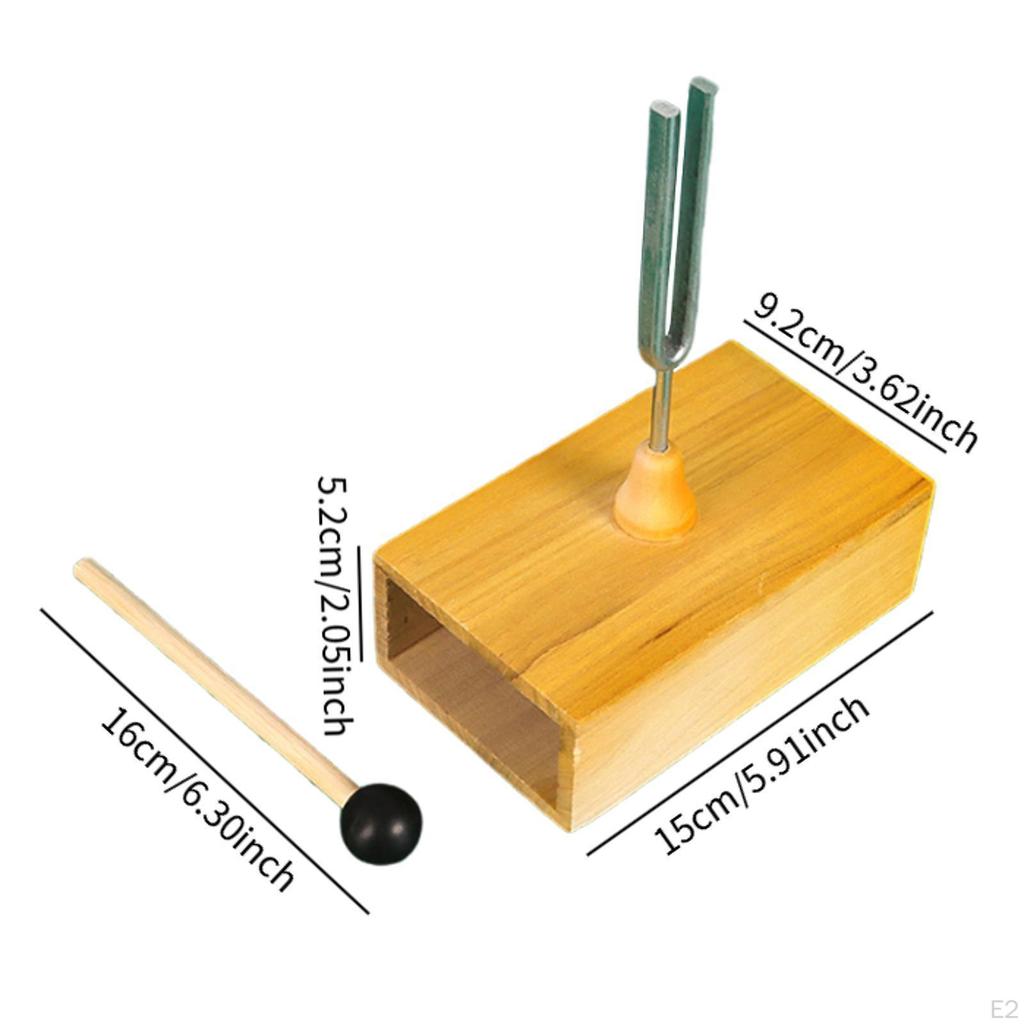 Stimmgabel Experimentalinstrument mit Resonanzkasten Singtonsatz für