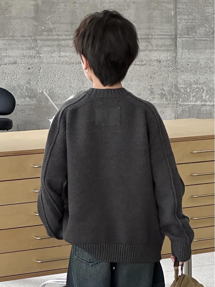 Men's Crew Neck Sweater: 2025 Autumn/Winter Casual Knit, Long Sleeve Pullover Loose Fit