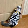 Pet Clothing Dog Clothes Warm Fleece Puppy Cat Costume Cute Pet Dogs Hoodie