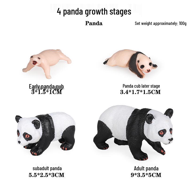Mini Animal Growth Cycle Toys: Butterfly, Rooster, Ant, Frog, Sea Turtle, Dragonfly