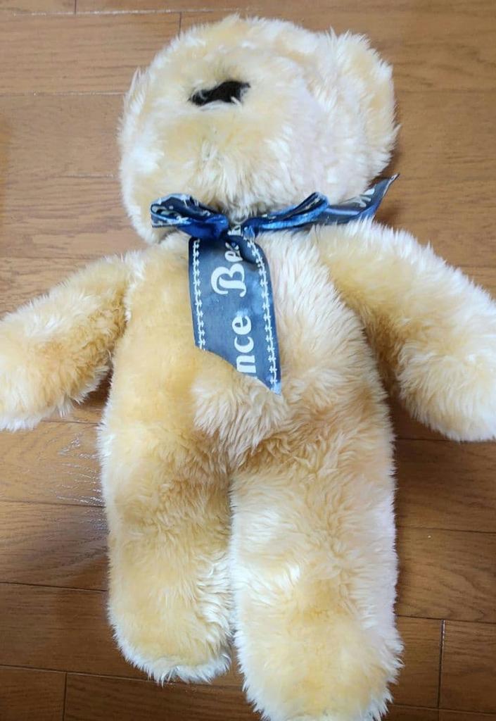 [USED] teddy bear stuffed toy