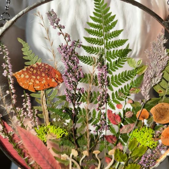 Wildblumenpilz Herbarium Hängende Dekoration Indoor Outdoor Garten Fenster Wandbehang Pilz gepresste Blume Kunst Ornament