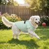 Airy Fabric Pet Cooling Vest Fly Sleeve Summer Dog Clothes Cute Dog Sunscreen Shirt  Sun Protection